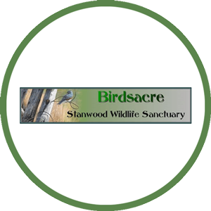 Birdsacre Stanwood Wildlife Sanctuary, Board Veritas